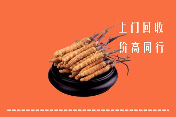 高价求购：周宁县回收散虫草