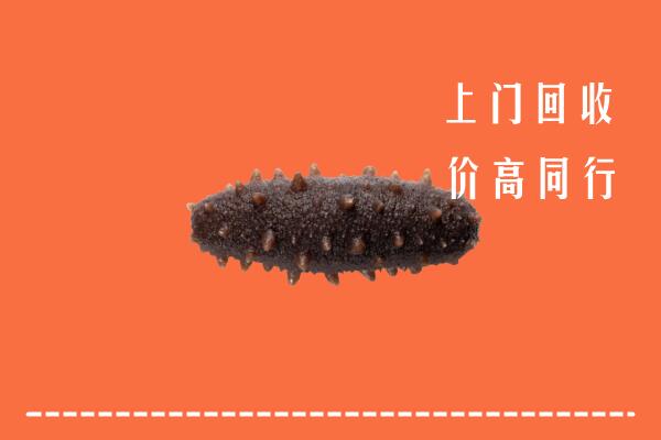 高价求购：周宁县回收海参