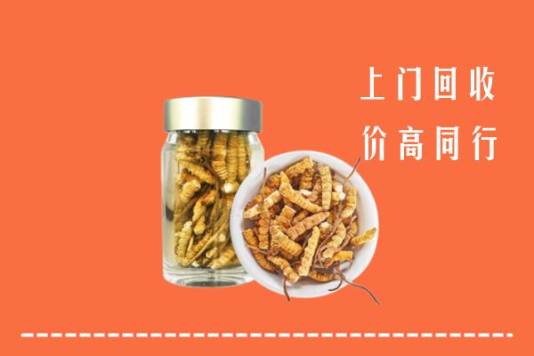 周宁县回收冬虫夏草