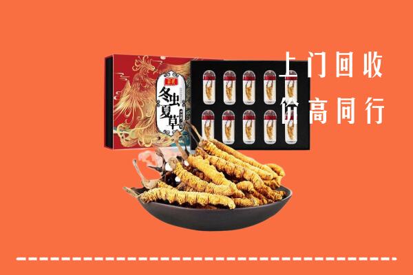 周宁县回收虫草